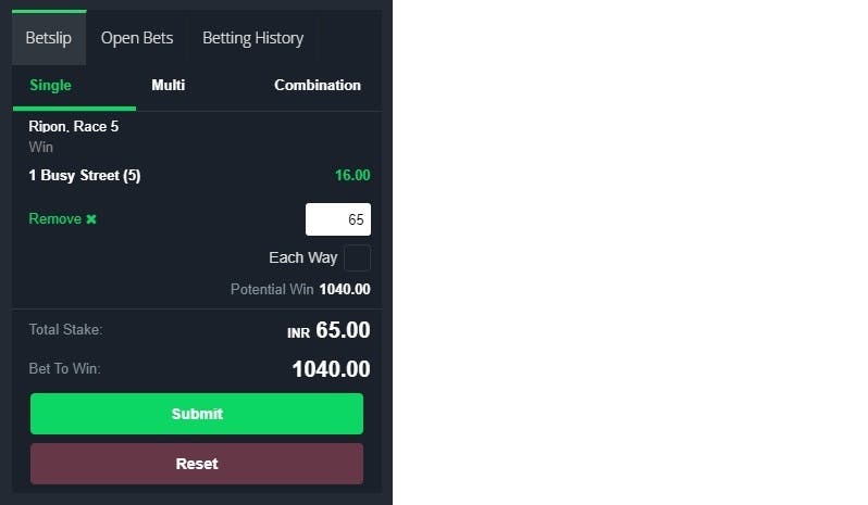 Placing a horse racing bet on sportsbet io small